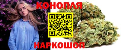 шишки Кинель