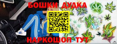амф Кингисепп