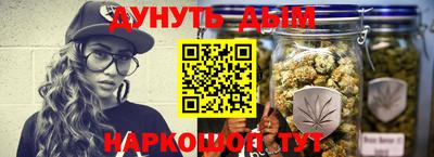 шишки Кинель