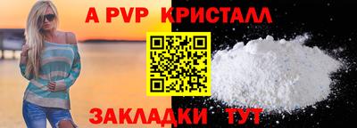 амф Кингисепп