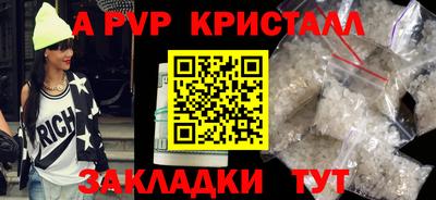 амф Кингисепп