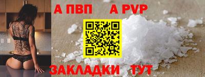 амф Кингисепп