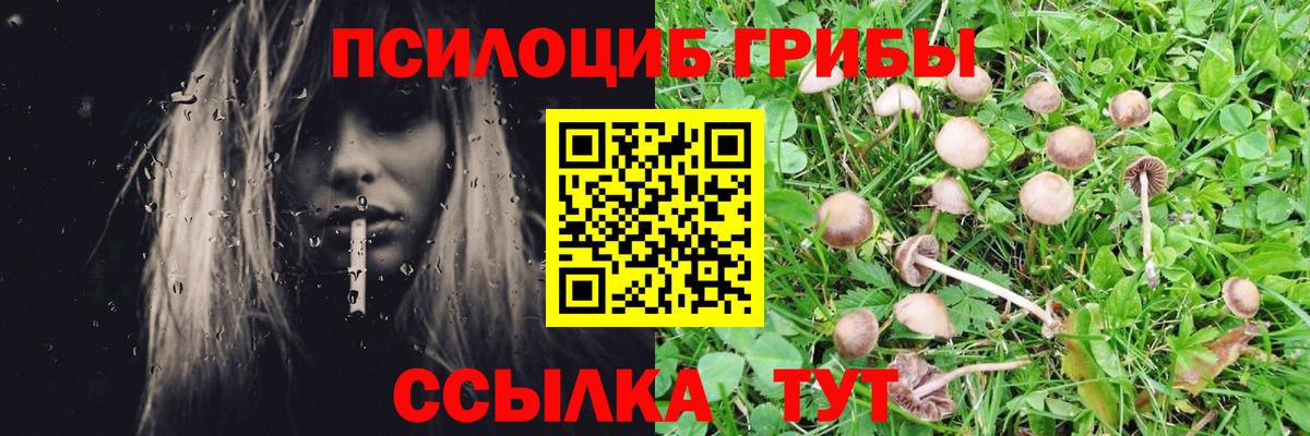 Кунгур  где продают   Псилоцибиновые грибы GOLDEN TEACHER  Вход с VPN  Псилоцибиновые грибы ЛСД 